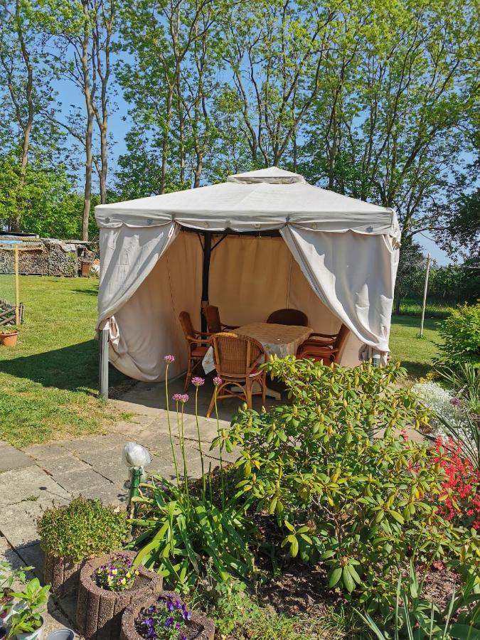 Ferienwohnung Am Stadtrand Garz Ruegen Eksteriør bilde